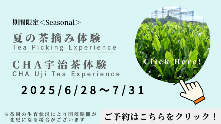 2025年夏の茶摘み体験