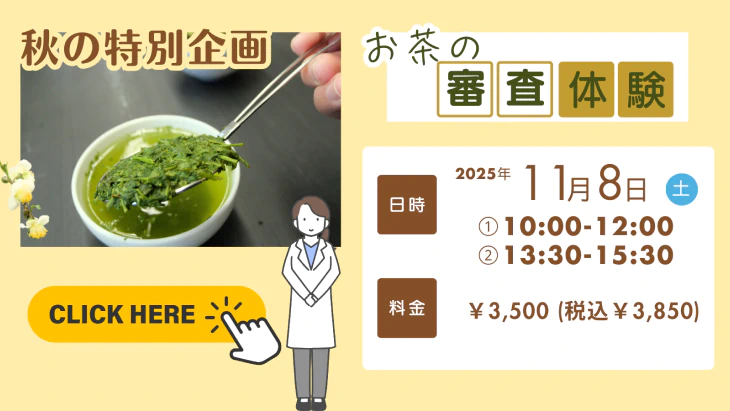 お茶の審査体験